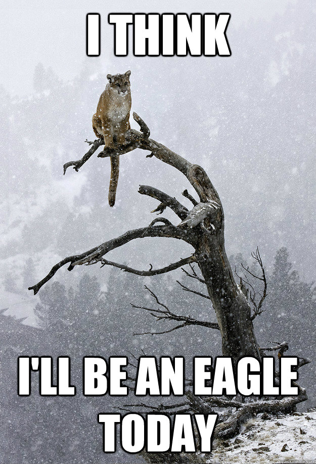 I think I'll be an eagle today - I think I'll be an eagle today  Misc