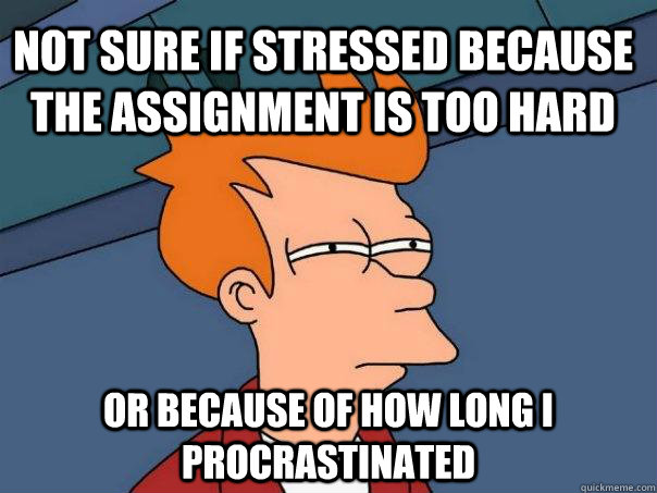 NOT SURE IF STRESSED BECAUSE THE ASSIGNMENT IS TOO HARD OR BECAUSE OF HOW LONG I PROCRASTINATED  Futurama Fry