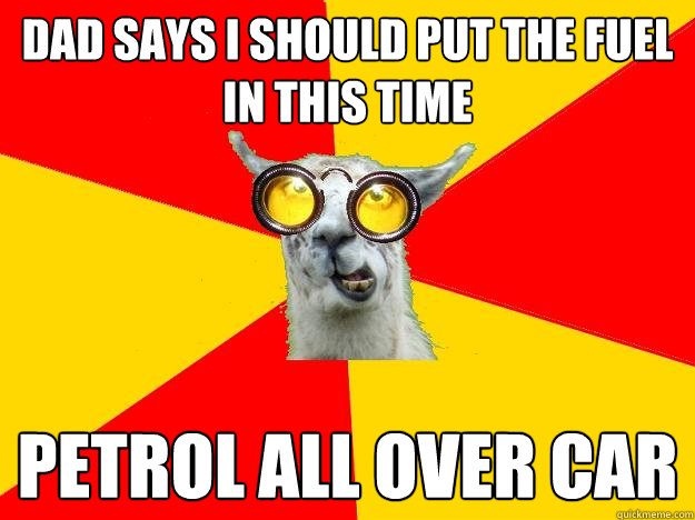 Dad says I should put the fuel in this time Petrol all over car  Learner Driver Llama