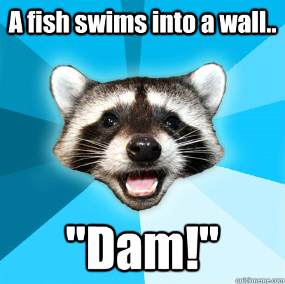 A fish swims into a wall.. 