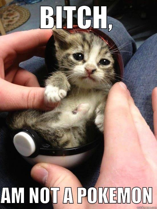 BITCH,  AM NOT A POKEMON Misc