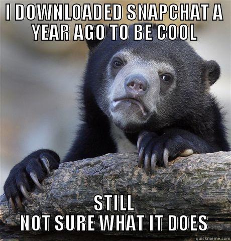 Snapchat Confession - I DOWNLOADED SNAPCHAT A YEAR AGO TO BE COOL STILL NOT SURE WHAT IT DOES Confession Bear