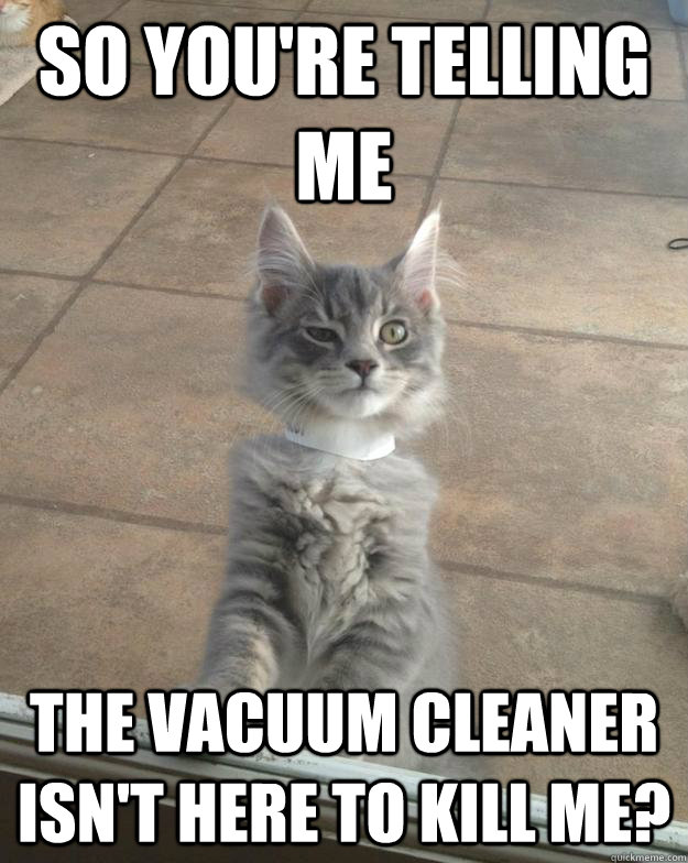 So you're telling me the vacuum cleaner isn't here to kill me?   