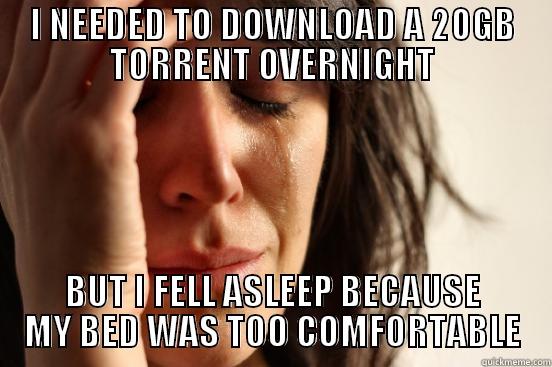 I NEEDED TO DOWNLOAD A 20GB TORRENT OVERNIGHT BUT I FELL ASLEEP BECAUSE MY BED WAS TOO COMFORTABLE First World Problems