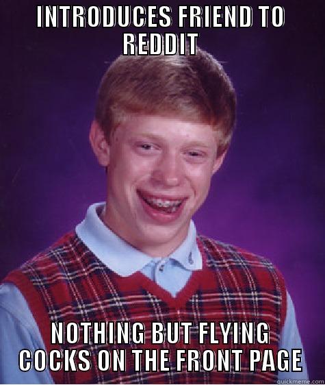 INTRODUCES FRIEND TO REDDIT NOTHING BUT FLYING COCKS ON THE FRONT PAGE Bad Luck Brian