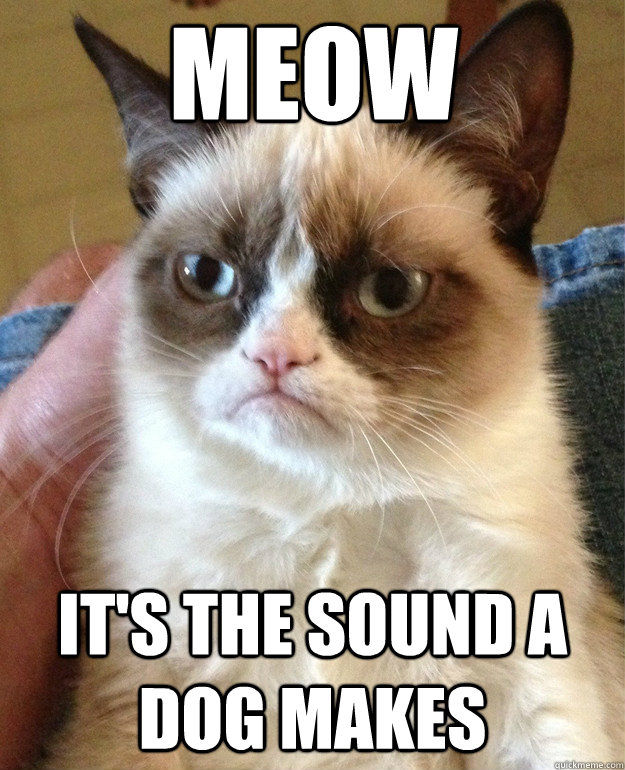 MEOW It's the sound a dog makes  Grumpy Cat