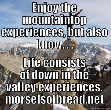 ENJOY THE MOUNTAINTOP EXPERIENCES, BUT ALSO KNOW. . . LIFE CONSISTS OF DOWN IN THE VALLEY EXPERIENCES. MORSELSOFBREAD.NET Misc