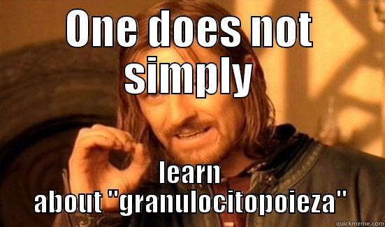 ONE DOES NOT SIMPLY LEARN ABOUT 