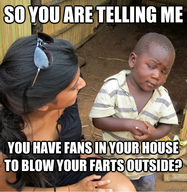 So you are telling me you have fans in your house to blow your farts outside?  Skeptical Third World Kid