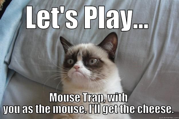 LET'S PLAY... MOUSE TRAP, WITH YOU AS THE MOUSE. I'LL GET THE CHEESE. Grumpy Cat