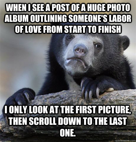 When I see a post of a huge photo album outlining someone's labor of love from start to finish i only look at the first picture, then scroll down to the last one.  Confession Bear