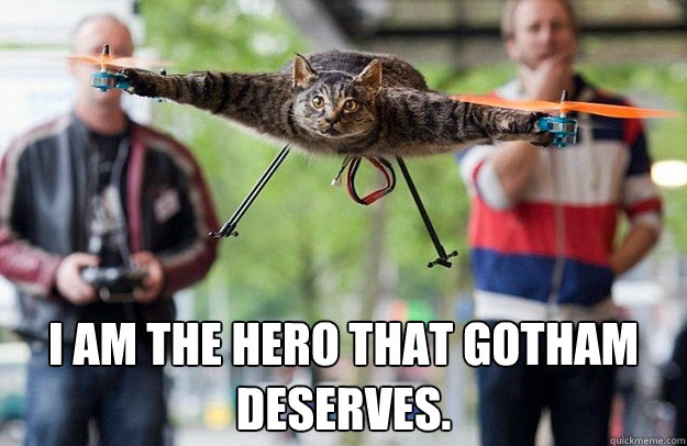  I am the hero that Gotham deserves.  