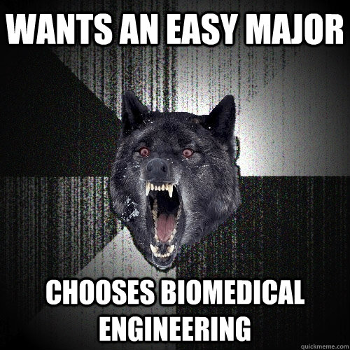 wants an easy major Chooses Biomedical Engineering  Insanity Wolf