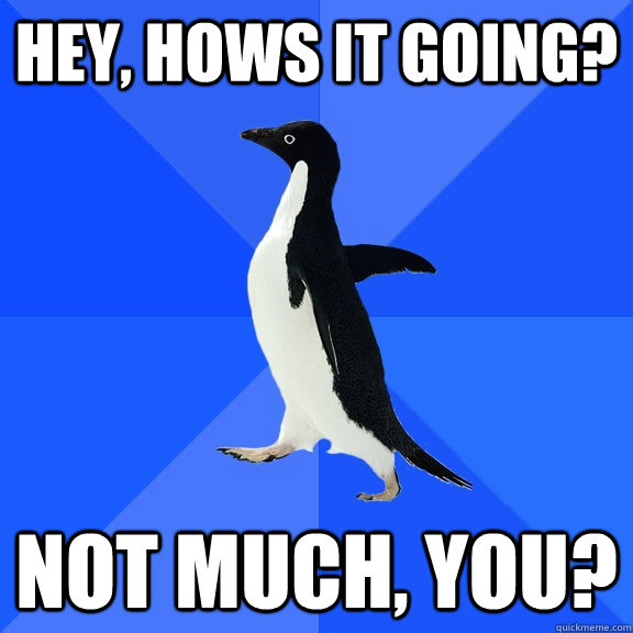 Hey, hows it going? Not much, you?  Socially Awkward Penguin