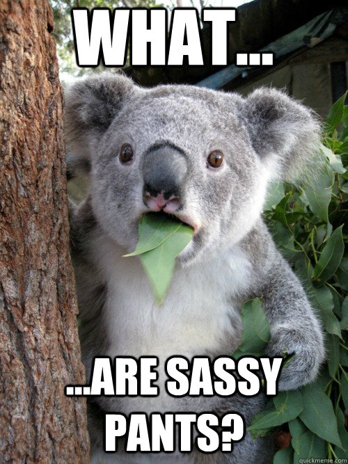 What... ...Are sassy pants?  Surprised Koala