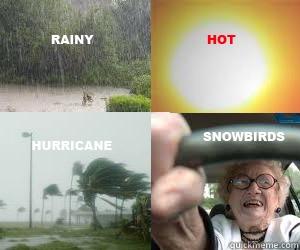 The Four Seasons of Florida -   Misc