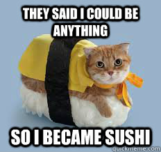 They said I could be Anything SO I BECAME SUSHI  Sushi Cat