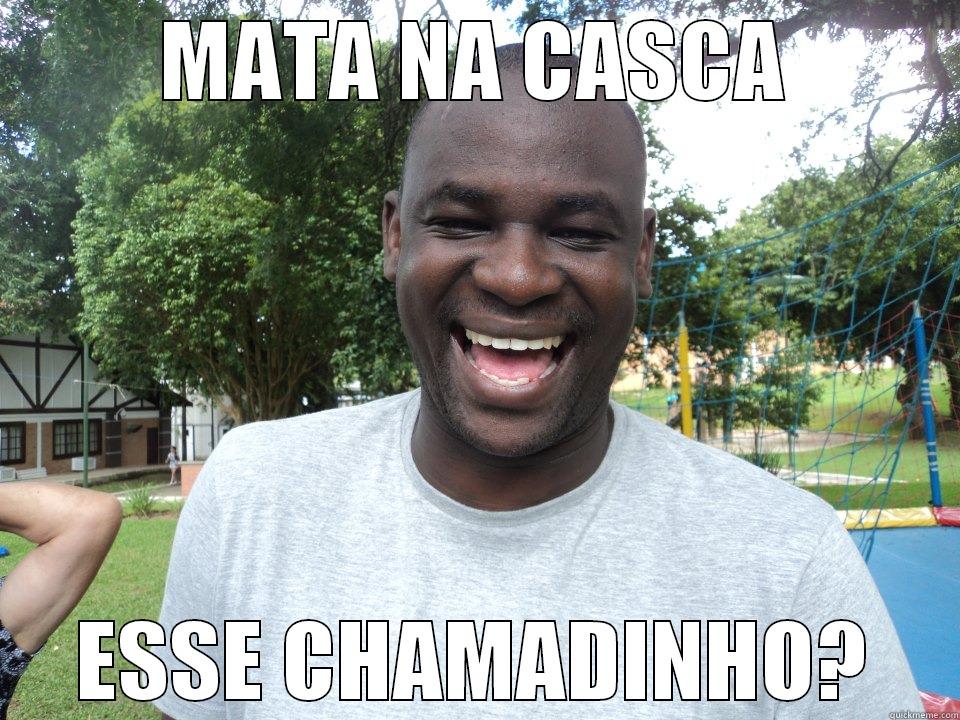 MATA NA CASCA ESSE CHAMADINHO? Misc