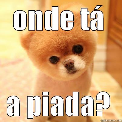 ONDE TÁ A PIADA? Misc