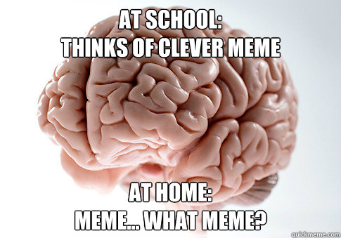 AT SCHOOL:
THINKS OF CLEVER MEME AT HOME:
MEME... WHAT MEME?  Scumbag Brain