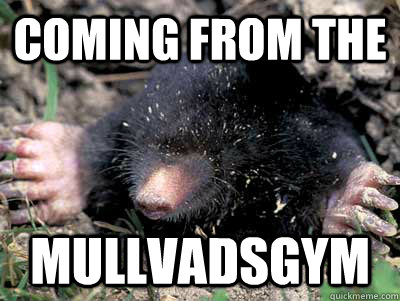 coming from the mullvadsgym  