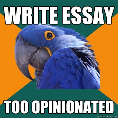 write essay too opinionated  Paranoid Parrot