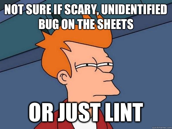 Not sure if scary, unidentified bug on the sheets Or just lint  Futurama Fry