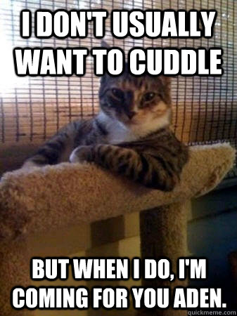 I don't usually want to cuddle but when I do, I'm coming for you Aden.  The Most Interesting Cat in the World
