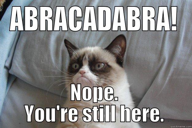 Nope. You're still here. - ABRACADABRA! NOPE. YOU'RE STILL HERE. Grumpy Cat