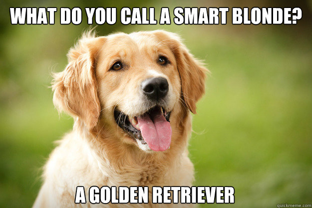 What do you call a smart blonde? A Golden retriever  golden retriever
