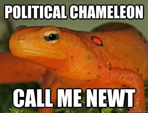 political chameleon  call me newt  Scumbag Newt