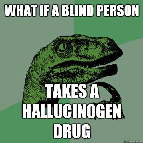 What if a blind person Takes a hallucinogen drug  Philosoraptor