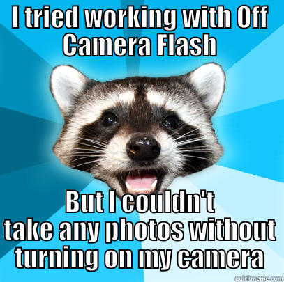 I TRIED WORKING WITH OFF CAMERA FLASH BUT I COULDN'T TAKE ANY PHOTOS WITHOUT TURNING ON MY CAMERA Lame Pun Coon