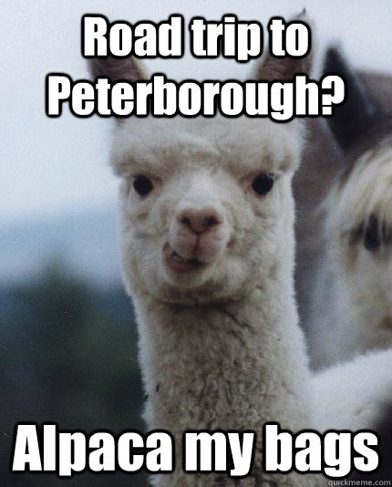Road trip to Peterborough? Alpaca my bags - Road trip to Peterborough? Alpaca my bags  ALPACA