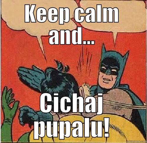 KEEP CALM AND... CICHAJ PUPALU! Batman Slapping Robin