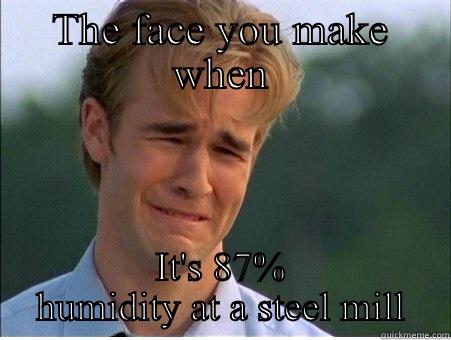 Steel mill problems - THE FACE YOU MAKE WHEN IT'S 87% HUMIDITY AT A STEEL MILL 1990s Problems