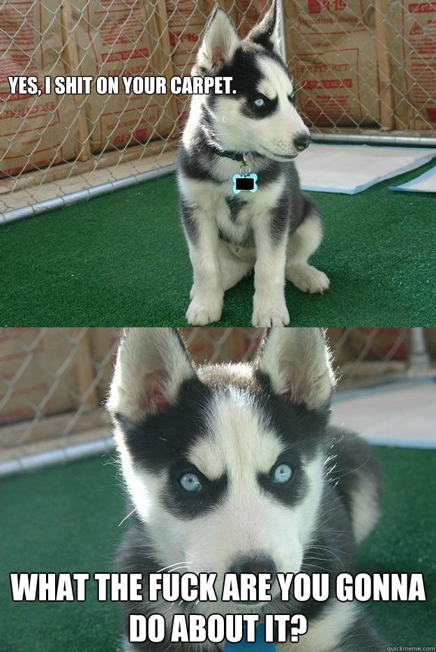 Yes, I shit on your carpet. What the fuck are you gonna do about it?  Insanity puppy