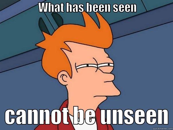                    WHAT HAS BEEN SEEN                     CANNOT BE UNSEEN Futurama Fry