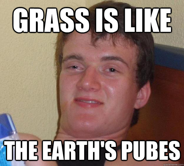 Grass is like the Earth's pubes  10 Guy