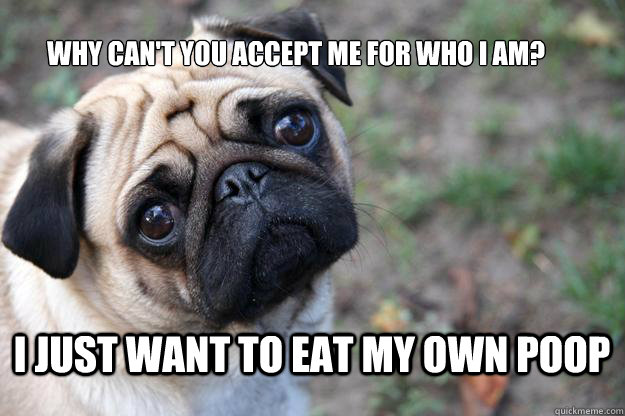 why can't you accept me for who i am? i just want to eat my own poop - why can't you accept me for who i am? i just want to eat my own poop  Misc