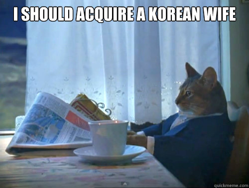 i should acquire a korean wife   The One Percent Cat