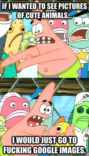 If I wanted to see pictures of cute animals... I would just go to fucking Google Images.  Push it somewhere else Patrick