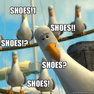 SHOES!! SHOES? SHOES!1 SHOES!? SHOES!  seagulls