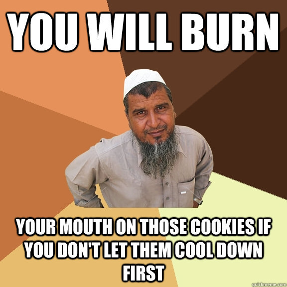 You will burn your mouth on those cookies if you don't let them cool down first  - You will burn your mouth on those cookies if you don't let them cool down first   Ordinary Muslim Man