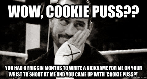 Wow, cookie puss?? You had 6 friggin months to write a nickname for me on your wrist to shout at me and you came up with 'cookie puss?!'  Condesending CM Punk