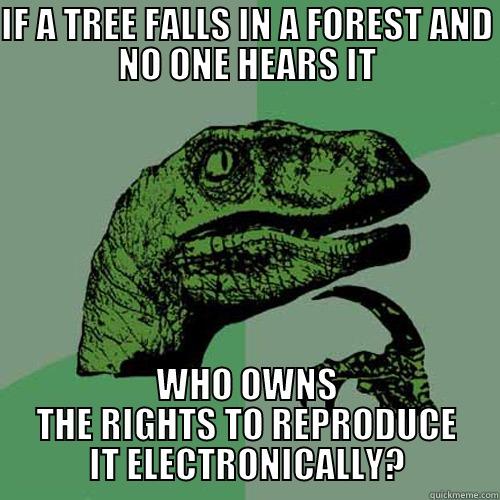 IF A TREE FALLS IN A FOREST AND NO ONE HEARS IT WHO OWNS THE RIGHTS TO REPRODUCE IT ELECTRONICALLY? Philosoraptor