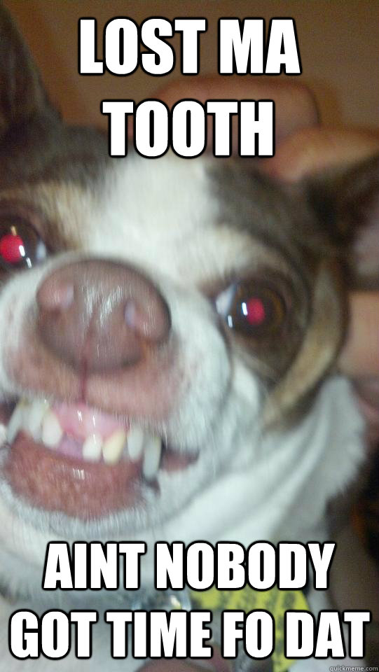 Lost ma Tooth AINT NOBODY GOT TIME FO DAT - Lost ma Tooth AINT NOBODY GOT TIME FO DAT  gizzie
