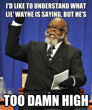 i'd like to understand what lil' wayne is saying, but he's too damn high  The Rent Is Too Damn High