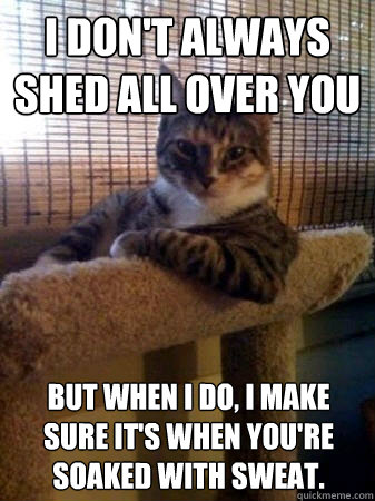I don't always shed all over you but when I do, I make sure it's when you're soaked with sweat.  The Most Interesting Cat in the World