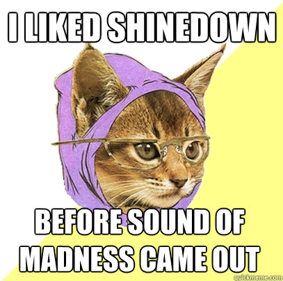 I liked shinedown  before sound of madness came out  Hipster Kitty